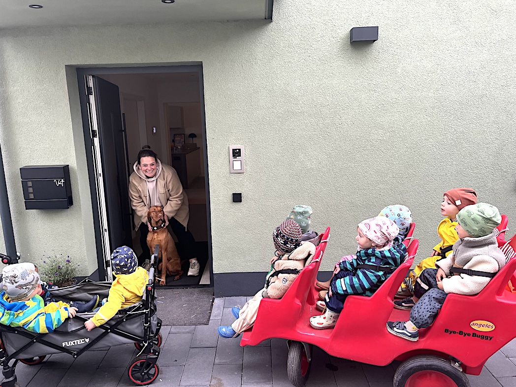 Die Faultiere auf Entdeckungstour